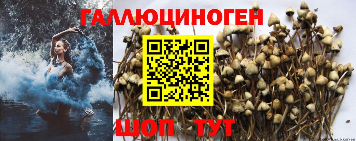 Псилоцибиновые грибы MAGIC MUSHROOMS Белогорск