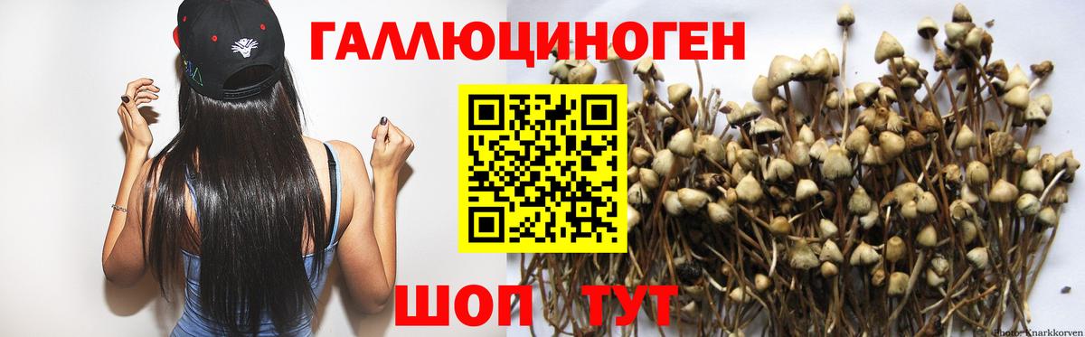 Галлюциногенные грибы Psilocybe  Вход с VPN  Белогорск  Псилоцибиновые грибы Psilocybe 